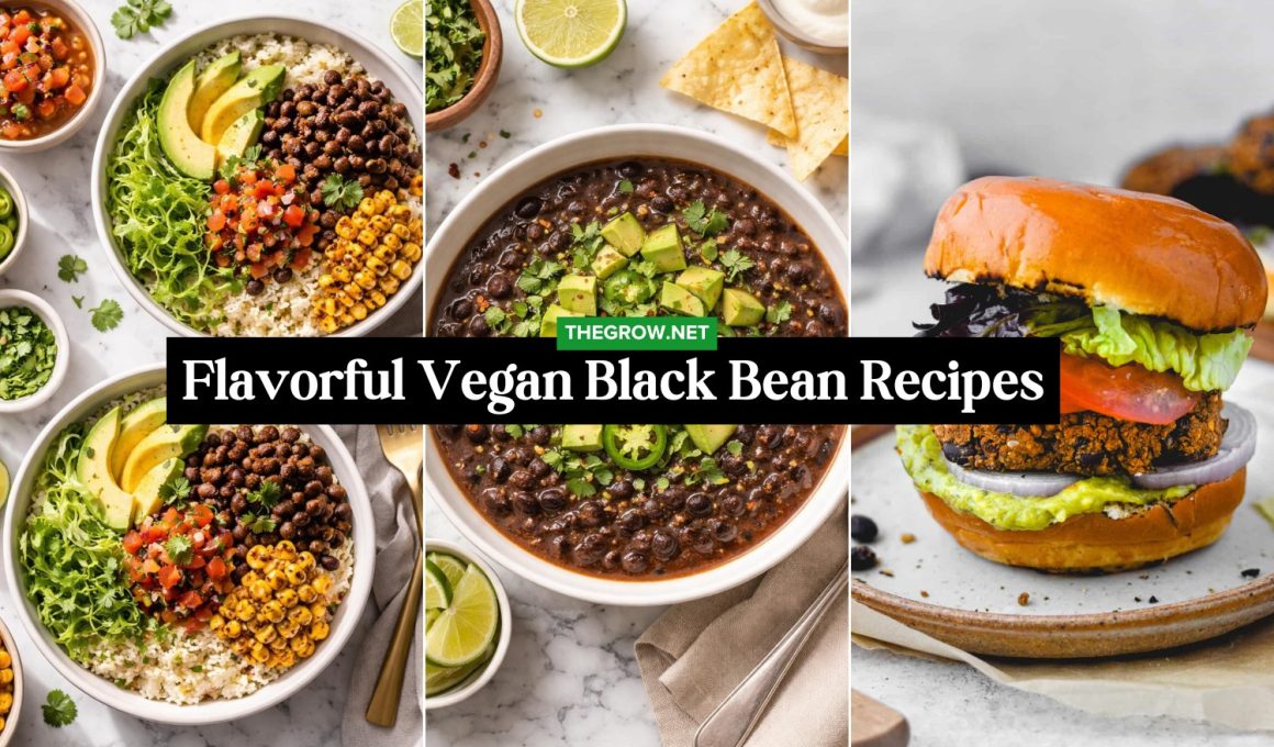Flavorful Vegan Black Bean Recipes