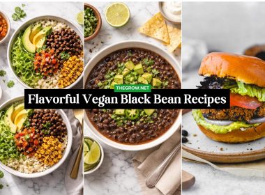 Flavorful Vegan Black Bean Recipes