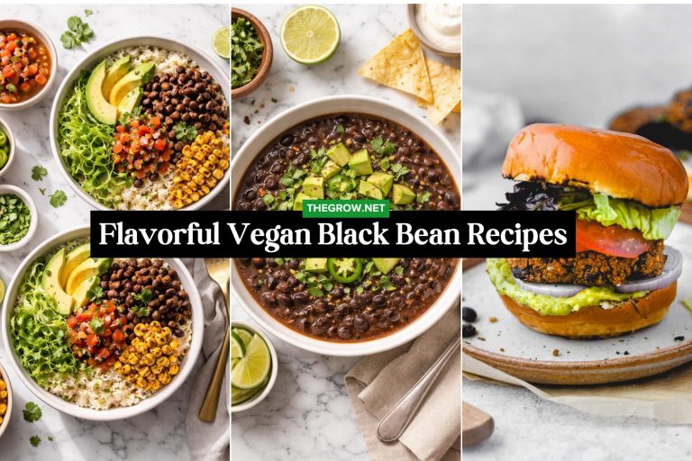 Flavorful Vegan Black Bean Recipes