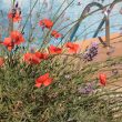 Flower Bed Edging