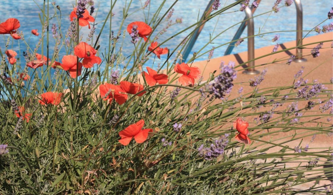 Flower Bed Edging