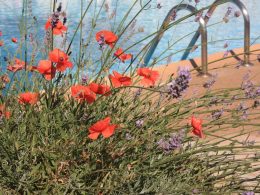 Flower Bed Edging