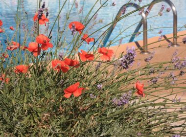 Flower Bed Edging