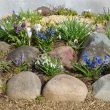 Flower Bed Ideas With Rocks To Try This Season
