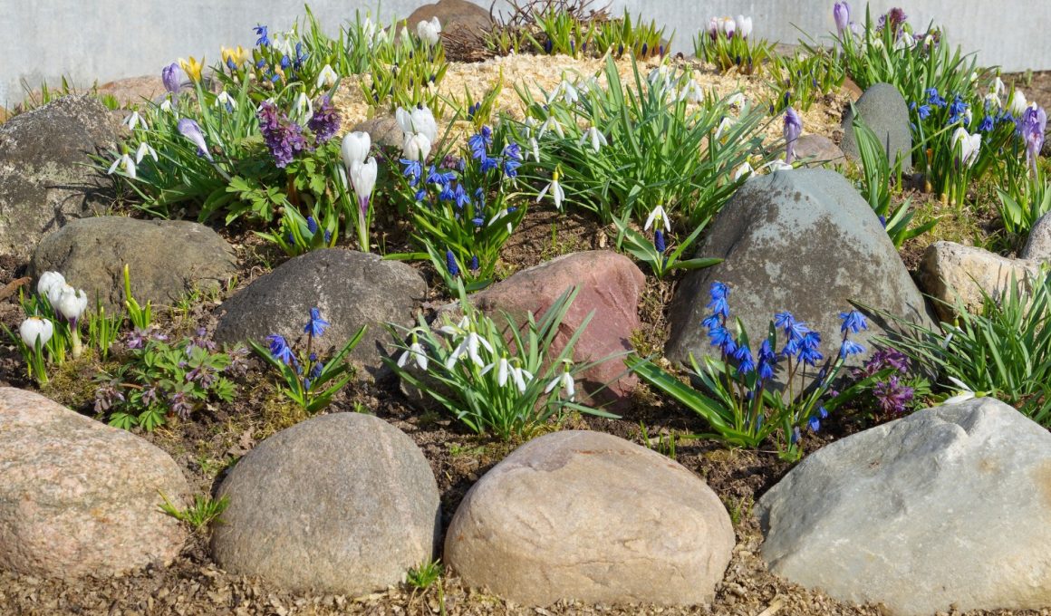Flower Bed Ideas With Rocks To Try This Season