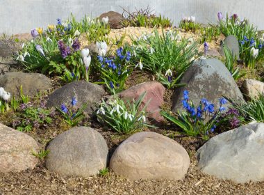 Flower Bed Ideas With Rocks To Try This Season