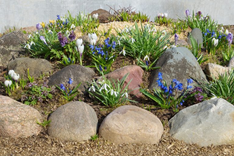 Flower Bed Ideas With Rocks To Try This Season