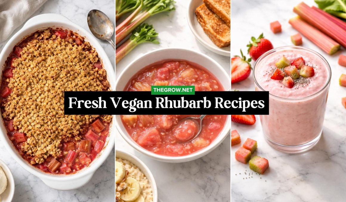 Fresh Vegan Rhubarb Recipes