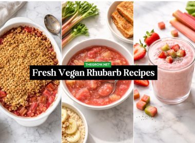 Fresh Vegan Rhubarb Recipes