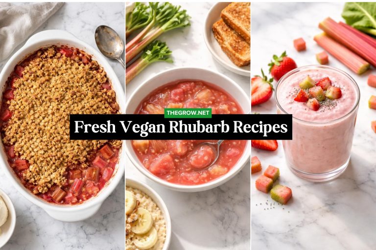 Fresh Vegan Rhubarb Recipes