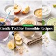 Gentle Toddler Smoothie Recipes