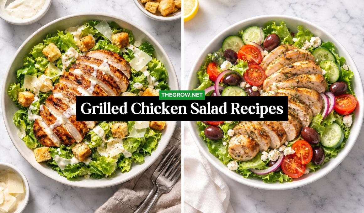 Grilled Chicken Salad Recipes for Easy Meals