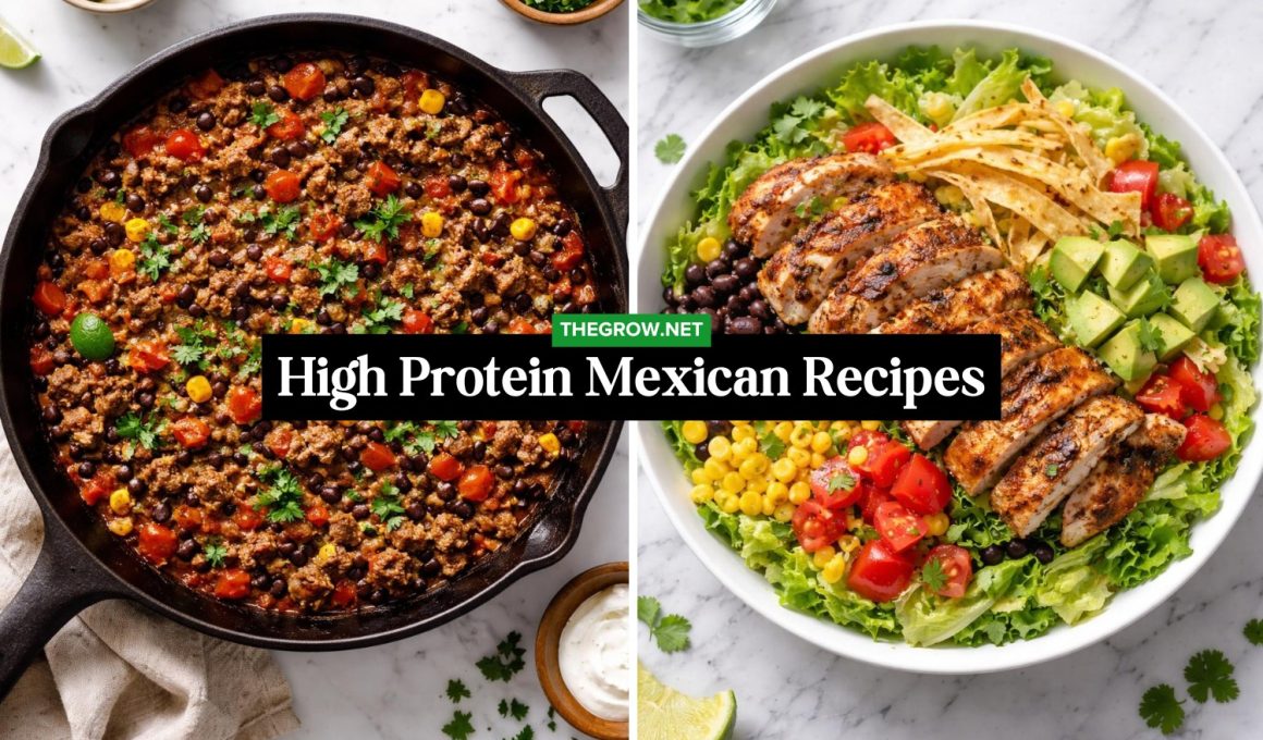 High Protein Mexican Recipes