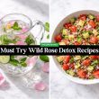 Must Try Wild Rose Detox Recipes