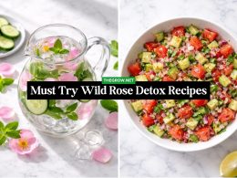 Must Try Wild Rose Detox Recipes
