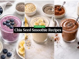 Nutritious Chia Seed Smoothie Recipes