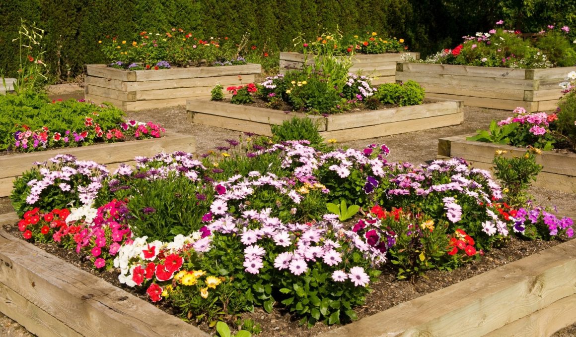 Raised Flower Bed