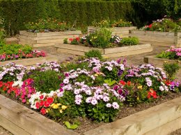 Raised Flower Bed