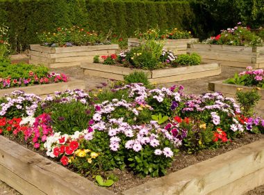 Raised Flower Bed