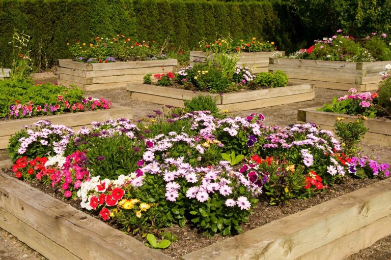 Raised Flower Bed