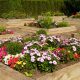 Raised Flower Bed