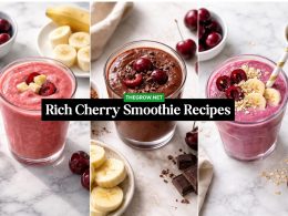 Rich Cherry Smoothie Recipes