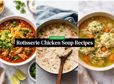 Rotisserie Chicken Soup Recipes