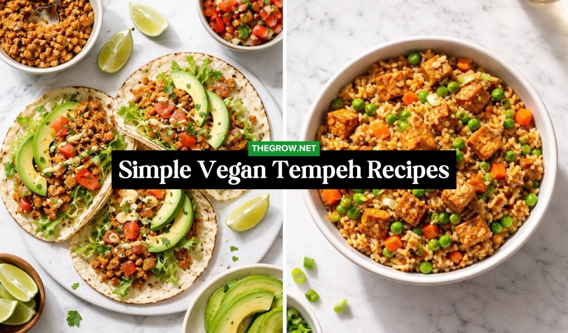 Simple Vegan Tempeh Recipes