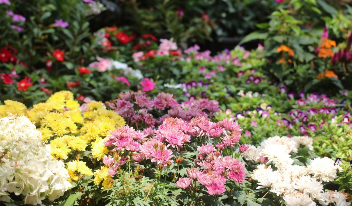 Small Flower Bed