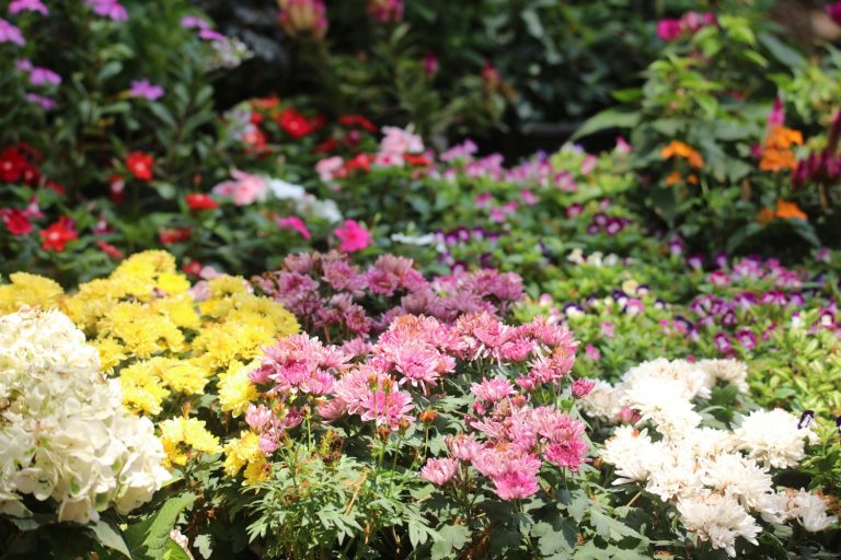 Small Flower Bed
