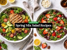 Spring Mix Salad Recipes for Everyday Meals