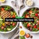 Spring Mix Salad Recipes for Everyday Meals