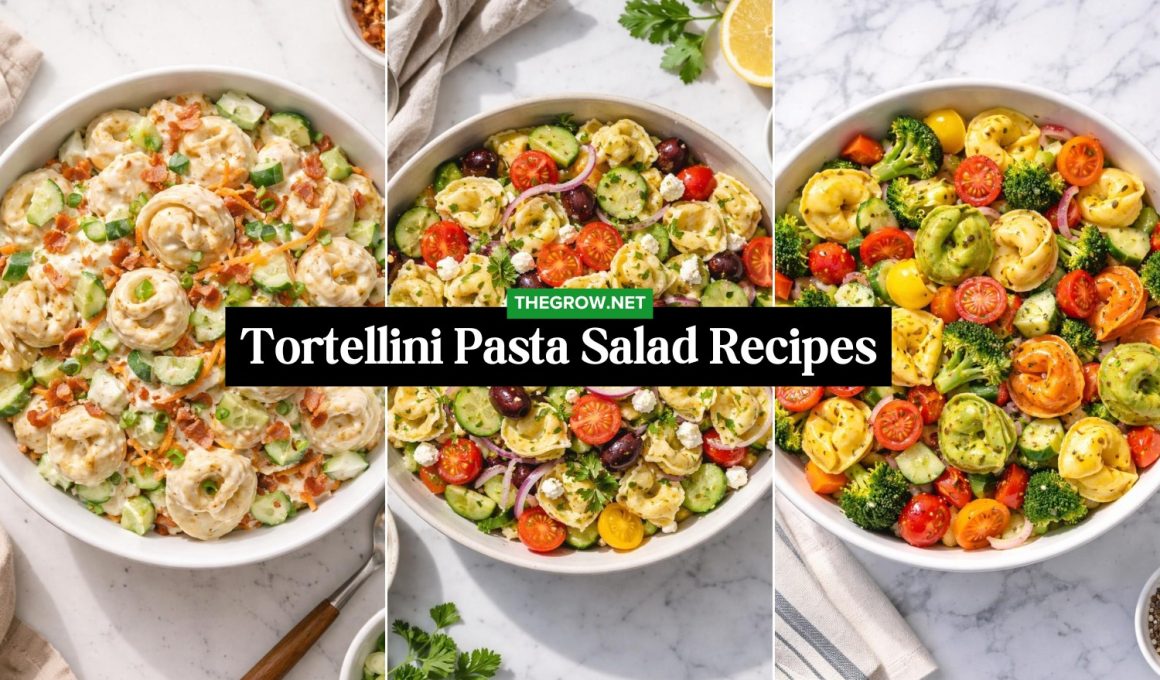Tortellini Pasta Salad Recipes