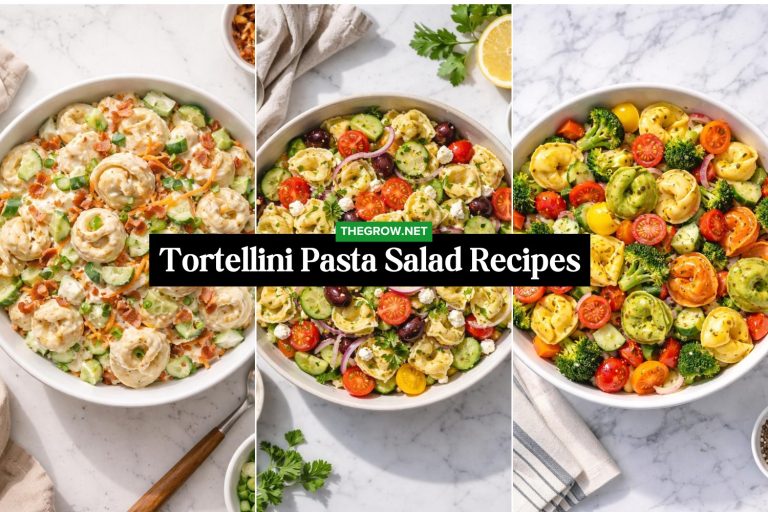 Tortellini Pasta Salad Recipes