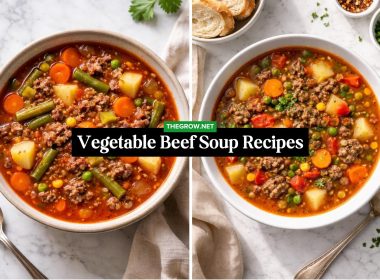 Vegetable Beef Soup Recipes