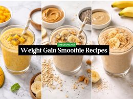 Weight Gain Smoothie Recipes