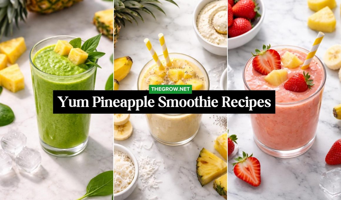 Yum Pineapple Smoothie Recipes