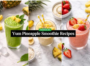 Yum Pineapple Smoothie Recipes