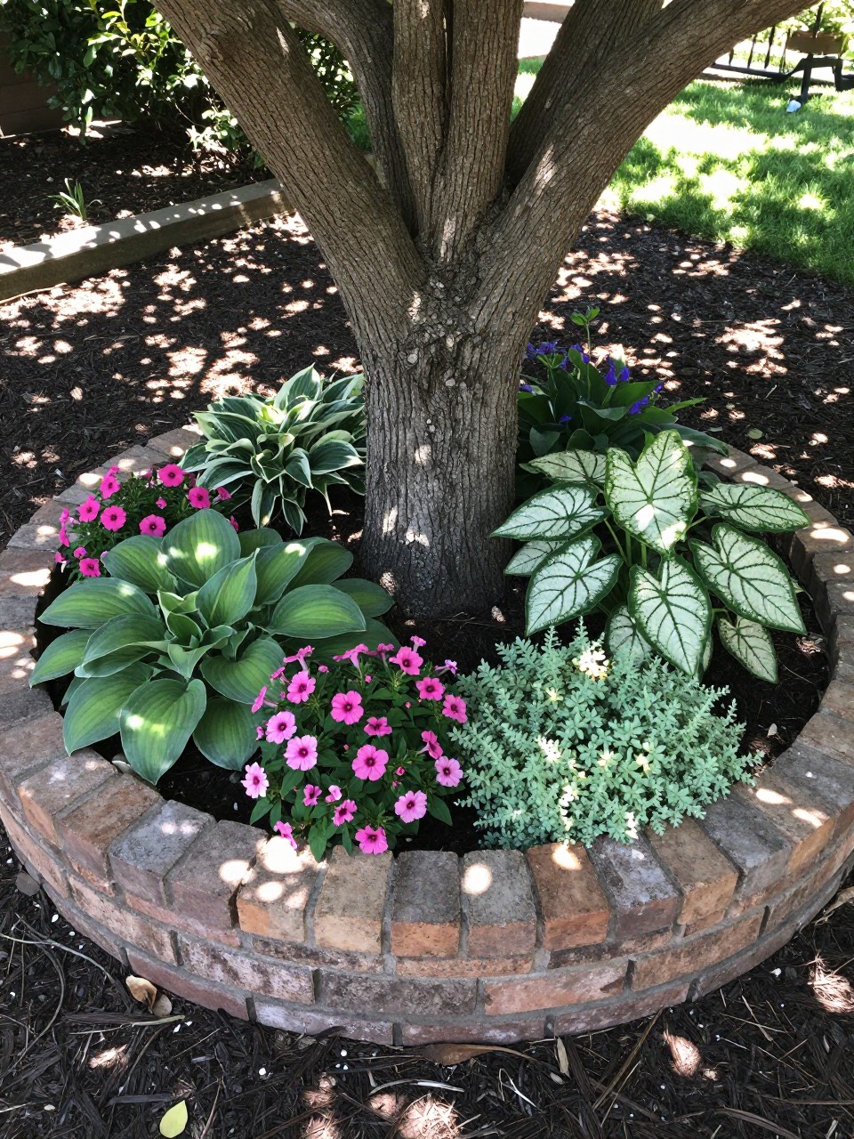 A circular raised flower bed built around the base of a mature tree, low stacked brick border, planted with hostas, impatiens, coral bells, white caladiums, and soft ground cover, dark mulch, dappled sunlight under the tree, cozy backyard garden, realistic photo, no people, no text, no watermarks on images.