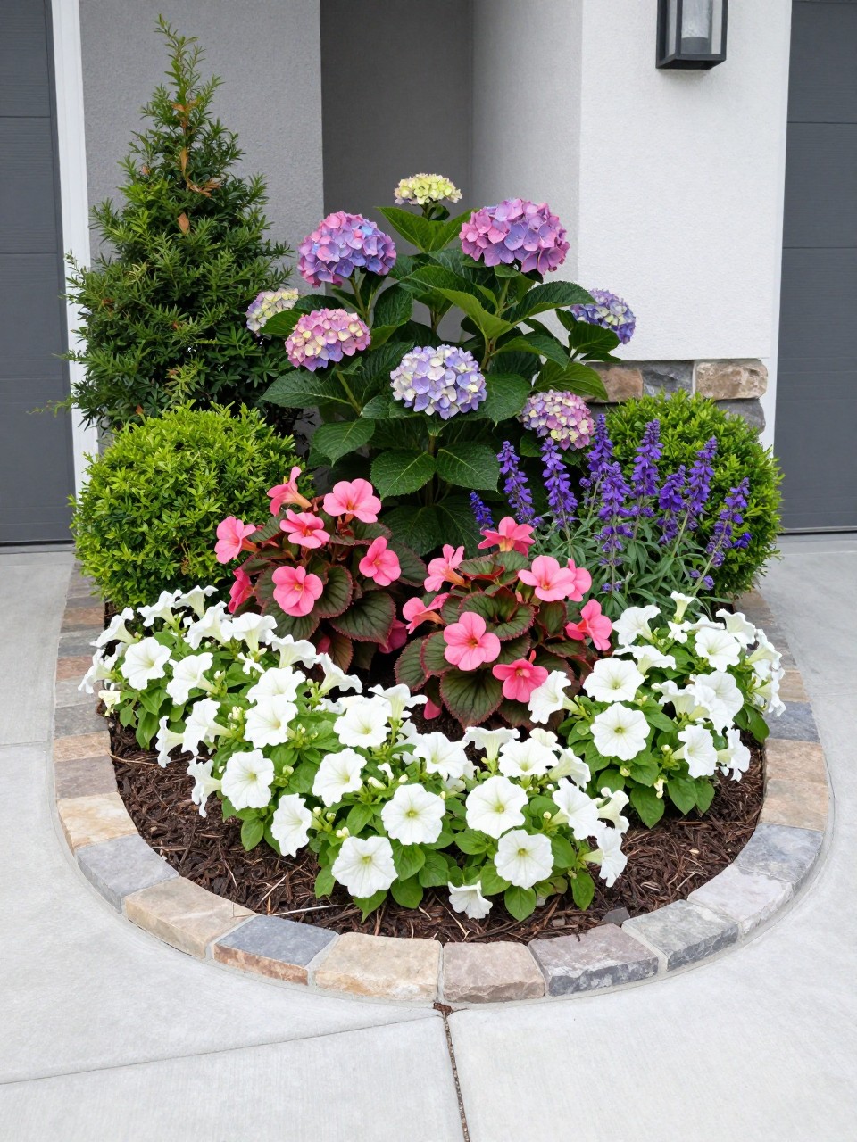 A polished front yard layered flower bed in front of a modern home, compact hydrangeas and boxwood shrubs at the back, pink begonias and purple salvia in the middle, white petunias and alyssum along the front, curved stone edging, tidy dark mulch, bright daylight, realistic curb appeal landscaping photo, no people, no text, no watermarks on images.