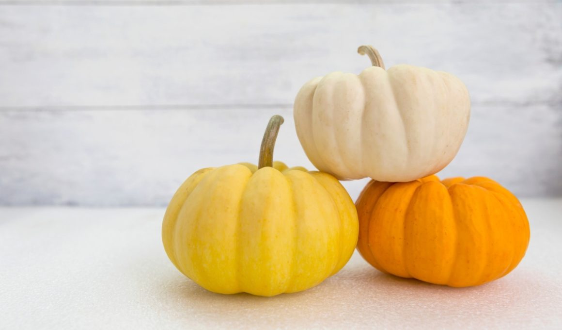 Amazing Contest-Winning Pumpkin Decorating Ideas