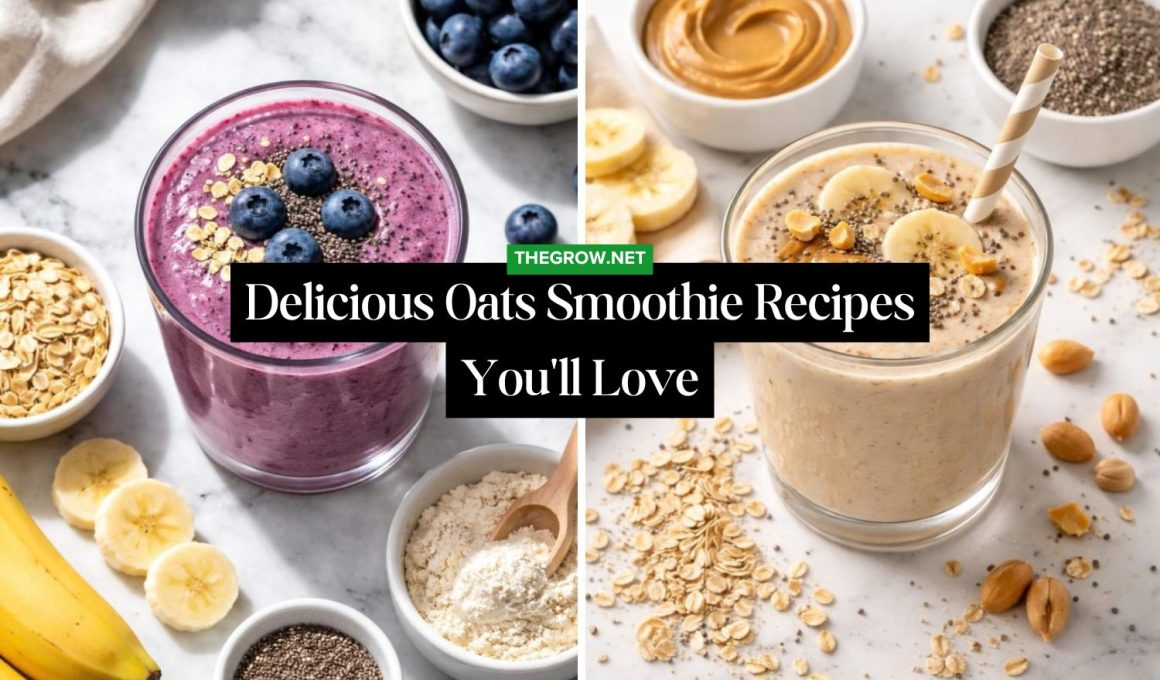 Delicious Oats Smoothie Recipes You'll Love