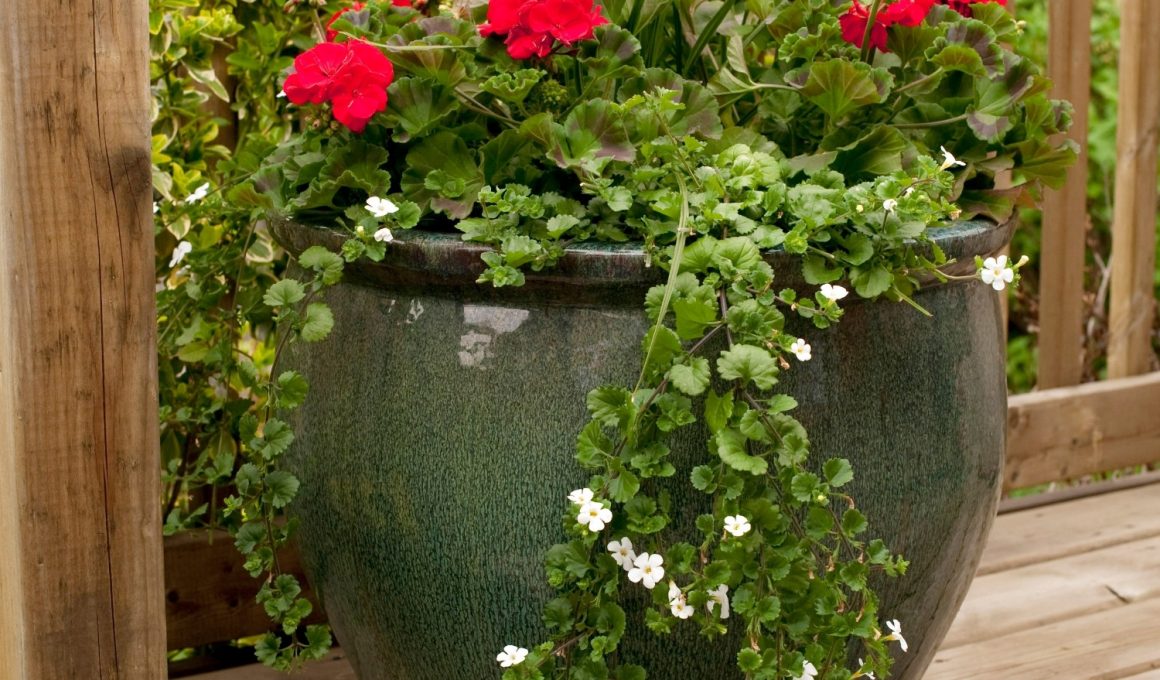 Fall Container Garden Ideas