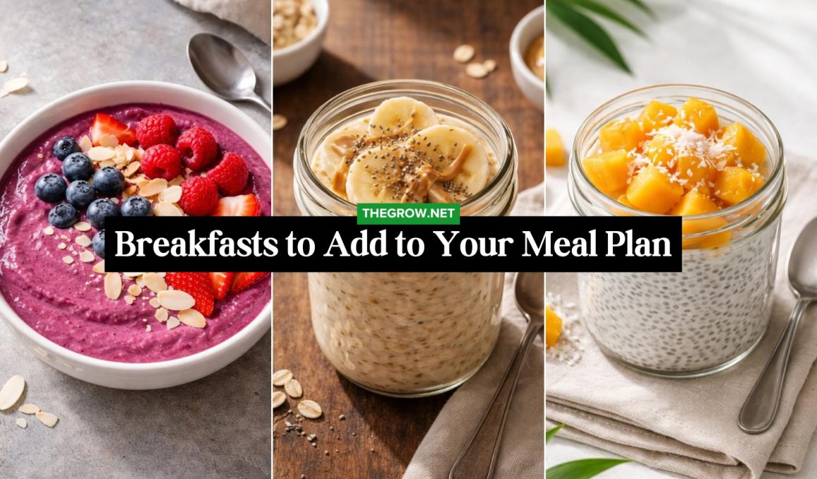Healthy Breakfasts to Add to Your Meal Plan
