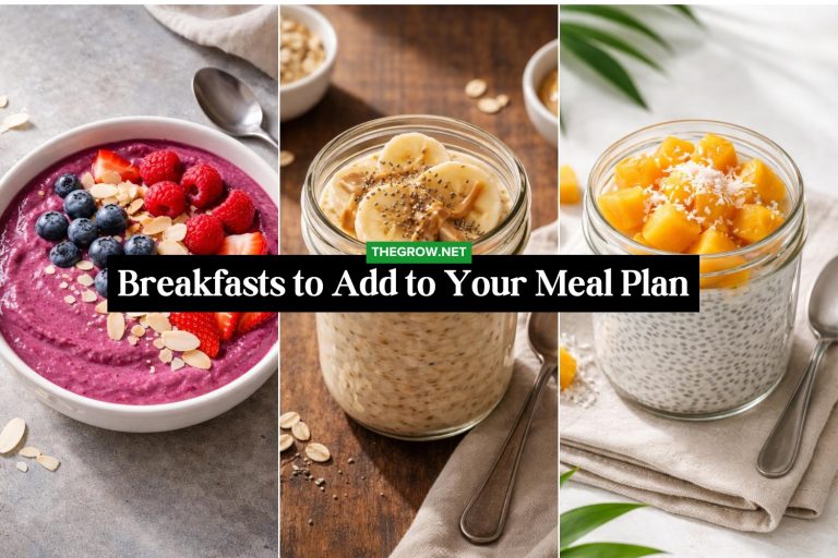 Healthy Breakfasts to Add to Your Meal Plan