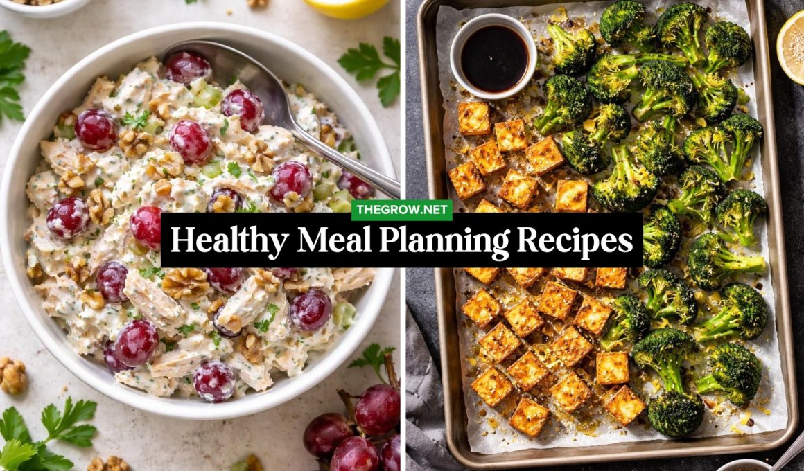 Healthy Meal Planning Recipes