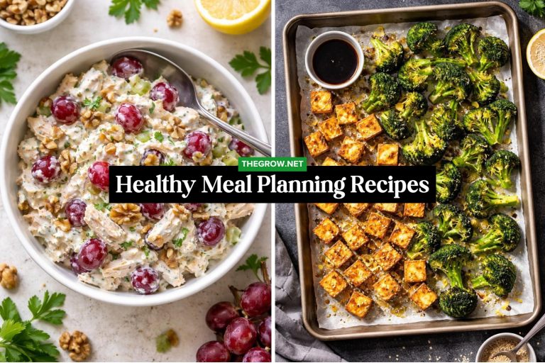 Healthy Meal Planning Recipes