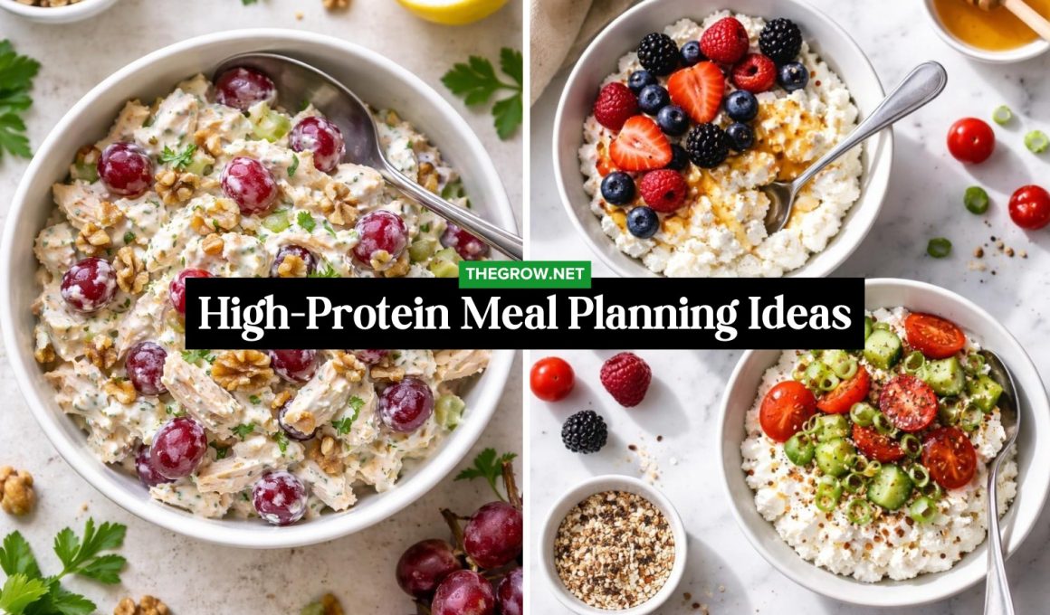 High-Protein Meal Planning Ideas