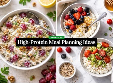 High-Protein Meal Planning Ideas