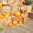 Incredible Pumpkin Patch Decorating Ideas
